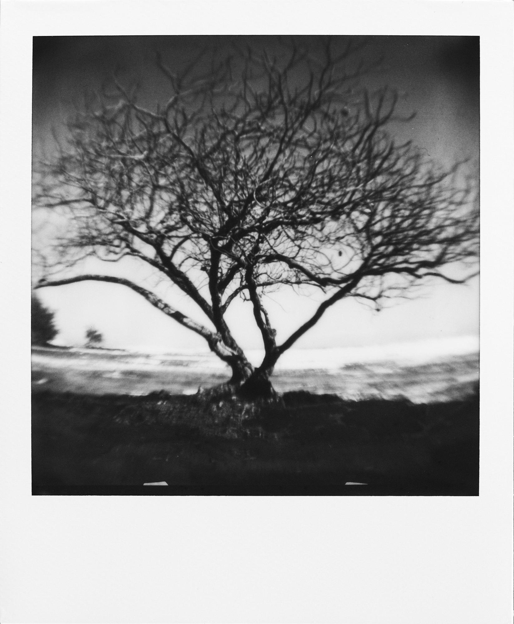 emiliano-rodriguez-polaroid-2.jpg