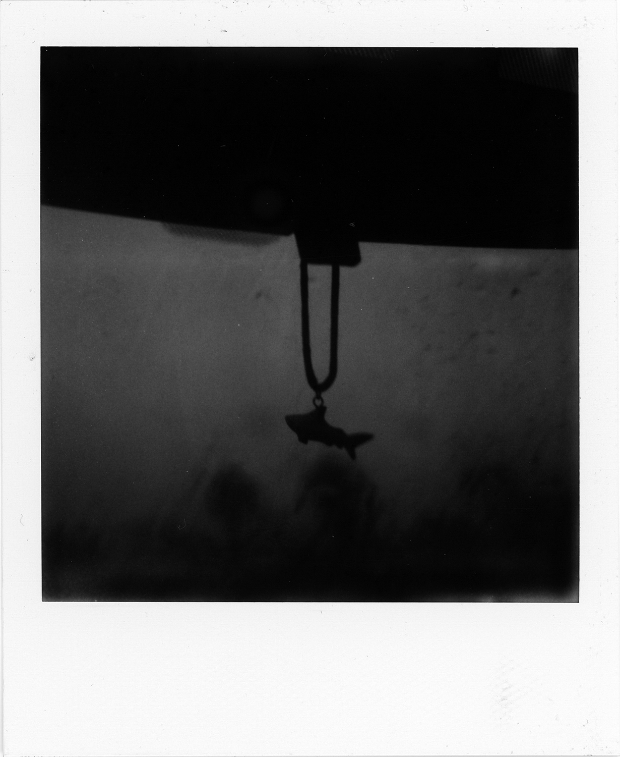 sx70002.jpg