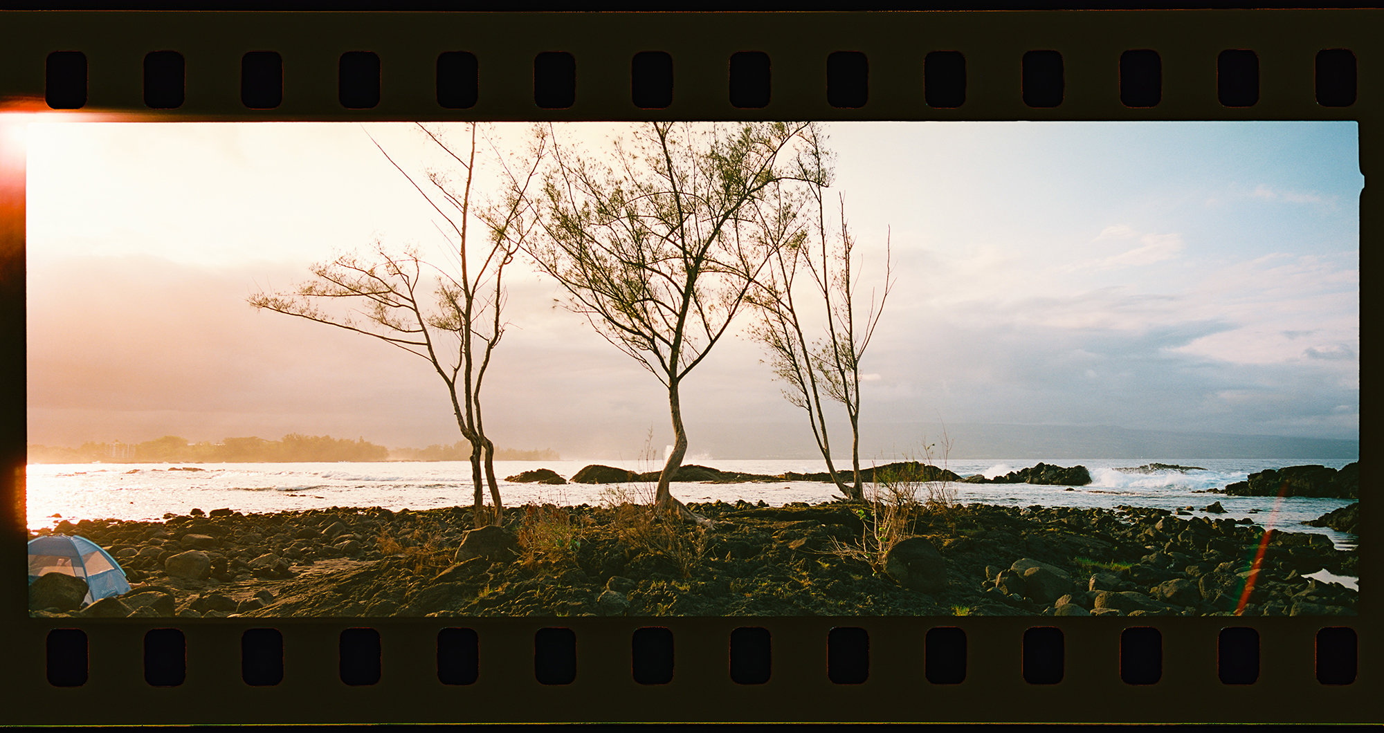 xpan-elektra-057.jpg