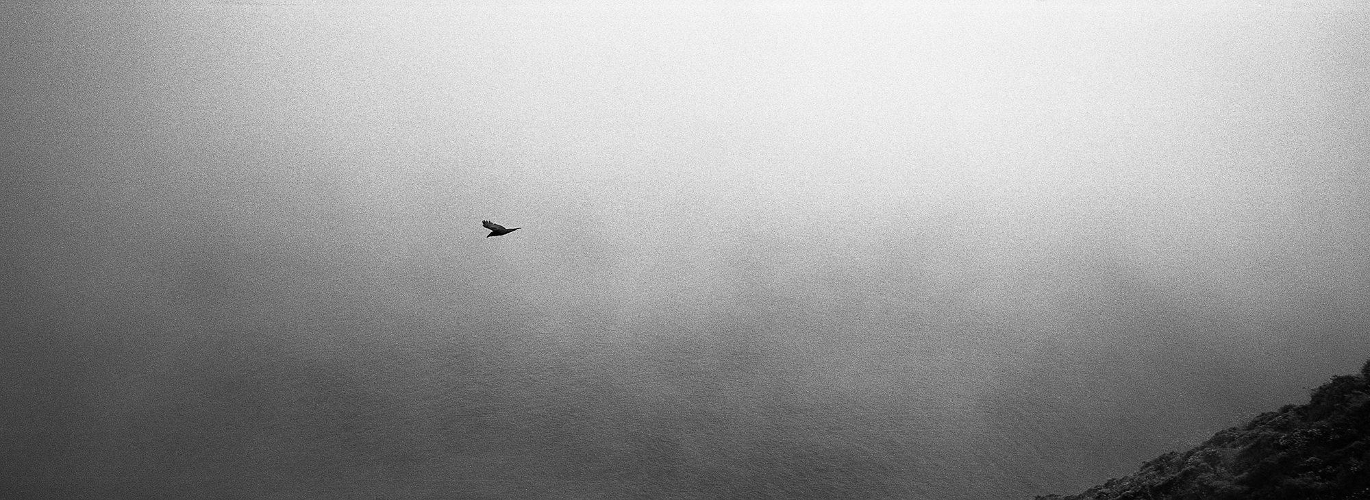 xpan055.jpg